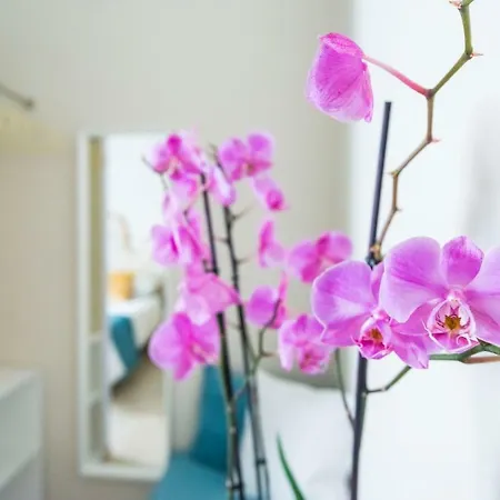 Savioli Room&breakfast Bed & Breakfast *